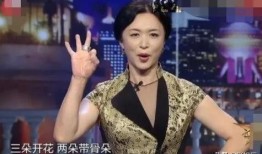 金星爆料两个女星视频,揭秘两位女星私密视频背后的惊人真相